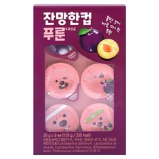 nothing better 讚芒韓杯 高濃縮西梅益生菌 5入, 125g, 1個