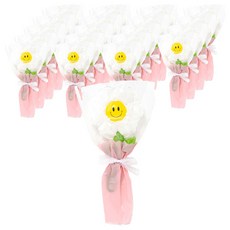 minhwashop 微笑花束氣球製作套組 I250062A, 20套, 雛菊