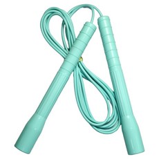 제이에프로프 세로형 스피드 줄넘기, 1개, 민트색