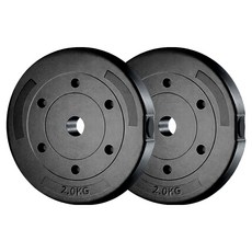 로네자 PVC 바벨 원판, 블랙, 2개, 2kg