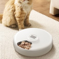 로제코 반려동물 6구 건식 습식 겸용 자동 급식기, 1개, 화이트, 200ml