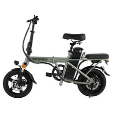 레이윙 디스커버리 접이식 전기자전거 ENTRY-F14E-10Ah 고객직접설치, 세이지그린, 스틸