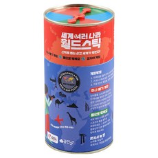 Gonggan27 世界各國 Stick Board 桌遊套組