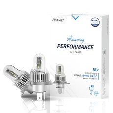 Bravio Amazing Performance H19 汽車 LED 頭燈組, 1套