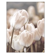 인포랩연구소 자연풍경 포스터 패브릭 벽장식, A