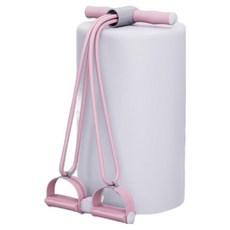 스카위즈 프리미엄 피트니스 풀업 바, 핑크, 1개