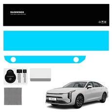 RAIN WINGS 導航螢幕保護貼, 起亞 The New K8 GL3 FL (防指紋AG), 1GB