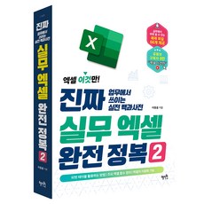 진짜 실무 엑셀 완전 정복 2 : 엑셀 이것만! 업무에서 쓰이는 실전 백과사전, 혜지원, 이동훈