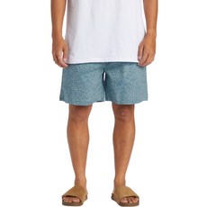 퀵실버 남성용 레오파드 워크숏 반바지 QE21WK023BGE