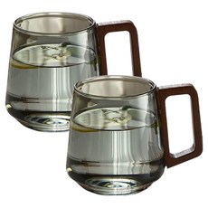 선빛 카론 내열 유리 머그컵 500ml, 애쉬 그레이, 2개