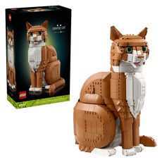 LEGO IDEAS 橘貓 21376, 1套