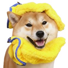 둥둥펫 반려동물 초강력 흡수 펫타올, 옐로우, 2개