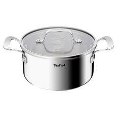 Tefal 特福 電磁爐完美耐受雙耳鍋, 不鏽鋼, 1個, 20cm