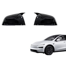 디케이몰 테슬라 모델Y 주니퍼 몰딩 사이드미러 유광블랙 2p, 사이드