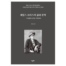 제임스 조이스의 삶과 문학 그 불멸의 순간을 기록하다, 어문학사, 박대철