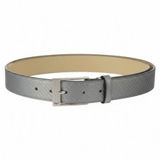 Mizuno 美津濃 男款高爾夫皮帶 E2JYC00105, 銀色, 1個