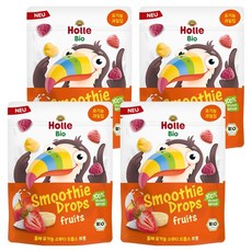 홀레 유기농 스무디 동결건조칩 프룻, 15g, 4개