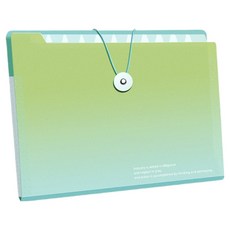 델리리움 예쁜 색감 대용량 아코디언 서류 A4 파일 케이스 8단 32 x 25 cm, 그라데이션 그린, 1개