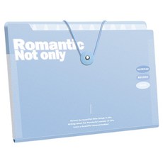 델리리움 예쁜 색감 대용량 아코디언 서류 A4 파일 케이스 5단 32 x 25 cm, 1개, 블루