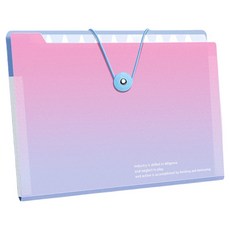 델리리움 예쁜 색감 대용량 아코디언 서류 A4 파일 케이스 8단 32 x 25 cm, 그라데이션 핑크, 1개