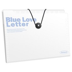 델리리움 예쁜 색감 대용량 아코디언 서류 A4 파일 케이스 12단 32 x 25 cm, 화이트, 1개