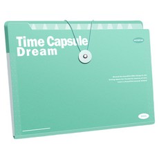 델리리움 예쁜 색감 대용량 아코디언 서류 A4 파일 케이스 12단 32 x 25 cm, 그린, 1개