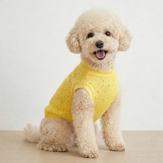 그루밍댕이 강아지 크레용 라운드 펀칭 니트, 옐로우, 1개
