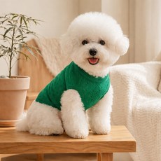 그루밍댕이 강아지 크레용 라운드 펀칭 니트, 그린, 1개