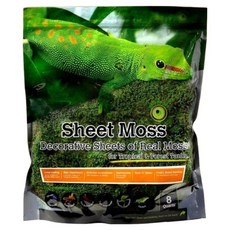 加拉巴哥片狀苔蘚 7.5L, 綠色, 1個