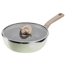 테팔 인덕션 원픽 냄비팬 플러스, 24cm, 피스타치오 그린, 1개