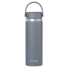 텀스 핸들 스윙 텀블러, 문라이트, 600ml, 1개