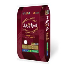 연천농협 왕애향 백미, 10kg, 1개, 상등급