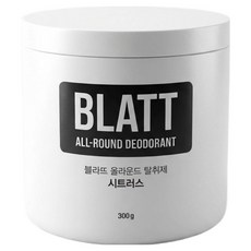 BLATT 柑橘全方位除臭劑, 300g, 1個