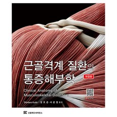 근골격계 질환의 통증해부학