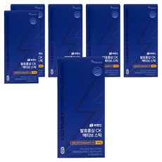 퍼멘진 발효홍삼CK 액티브 스틱, 450g, 6개