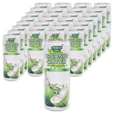 트로잇 코코넛워터 위드펄프 음료, 30개, 250ml