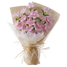 General K 毛根花束 DIY 製作套組 粉紅雛菊, 1套, 混合色