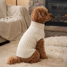 그루밍댕이 강아지 골지 폴라 간절기 니트, 화이트, 1개