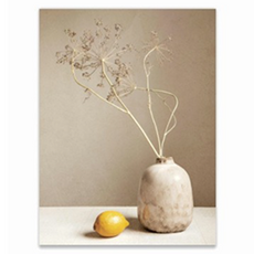 Ed 植物光與影藝術海報 類型3 不含畫框