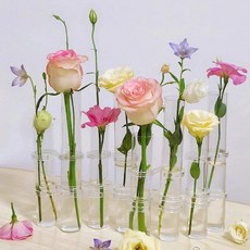 Seonbit Cleon 玻璃管花瓶 8孔