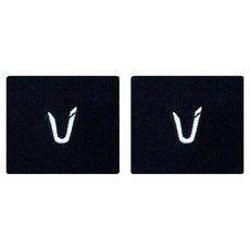 테크니스트 스포츠 손목밴드 TNA66006, 블랙, 2개