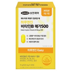 하루엔진 이지 비타민B 메가 500 15g, 1개, 30정