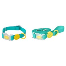 리치독스 반려동물 워터프리 방수 목줄 + 리드줄 세트, 네온민트, 1세트