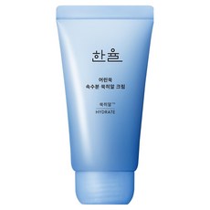 한율 어린쑥 속수분 쑥히알 크림, 60ml, 1개