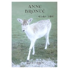 아그네스 그레이, 윌북, 앤 브론테