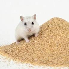 Hassy 倉鼠戈壁大容量沙漠沙, 10kg, 1個