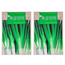 청농종묘 굵은 흑금장 프리미엄 대파 씨앗 2000p, 2개