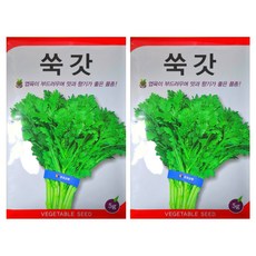 동원농산종묘 향이 찐하고 부드러운 프리미엄 쑥갓 씨앗 5g, 2개