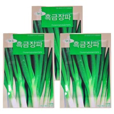 청농종묘 굵은 흑금장 프리미엄 대파 씨앗 2000p, 3개