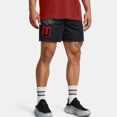 UNDER ARMOUR 安德瑪 男款 UA Icon 網眼 Armour U 短褲 1387599